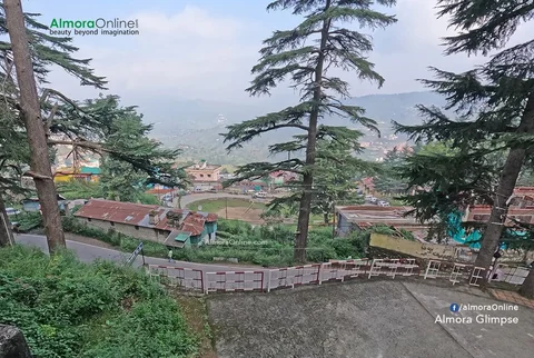 Deodar trees, hillside homes and a winding path in Almora