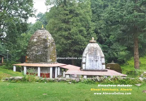 The Bineshwar Mahadev temple complex surrounded by trees in Binsar Sanctuary