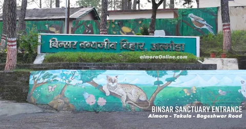 Painted wildlife murals at the entrance to Binsar Wildlife Sanctuary in Almora