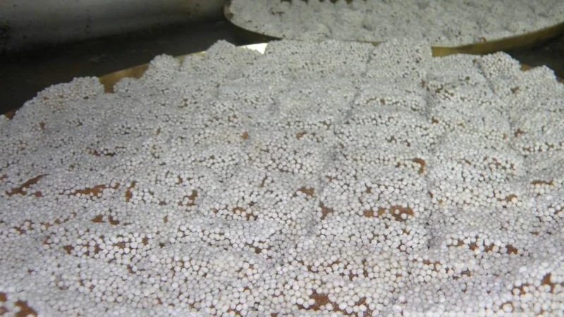 Bal Mithai and Singori: what to ask when buying sweets in Almora