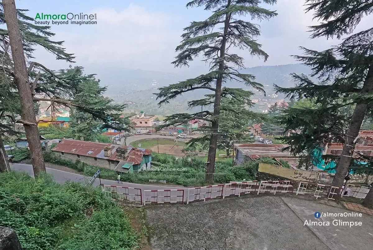 अल्मोड़ा में देवदार के पेड़, पहाड़ी घर और घुमावदार रास्ता
