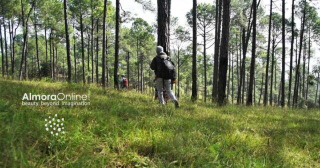 Almora to Chitai Trek