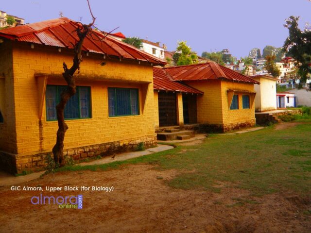 Upper Block for Biology Students