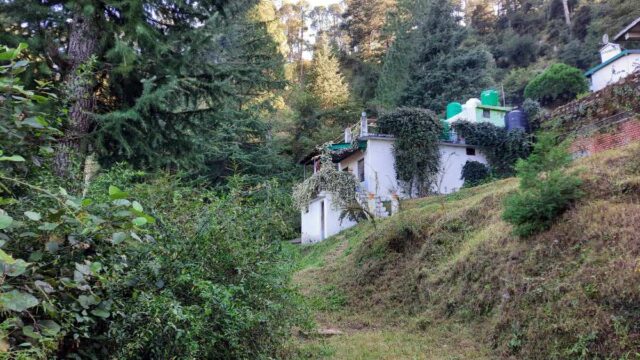 Green Garden HomeStay