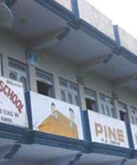 Pine Wood School